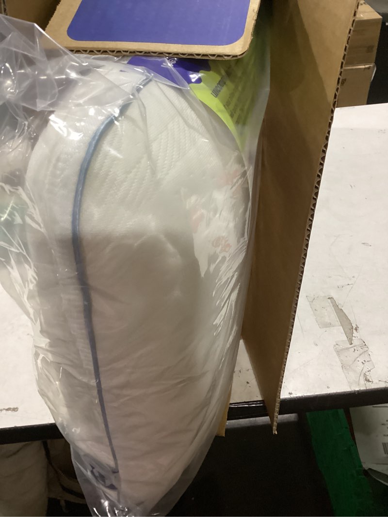 Condition photo showing New/Like New for Sealy Dreamlife Queen Size Memory Foam Cooling Pillow with Surface Guard Technology, Removable Machine-Washable Cover, 1 Year Limited Warranty, White 1 pack Standard