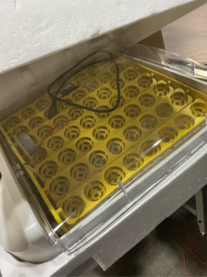 Condition photo showing As Is for egg incubator with auto turner & humidity control – high hatch rate poultry hatcher for chicken duck quail, 360° view & stable temp system, ideal for farm & home breeding (55 egg)