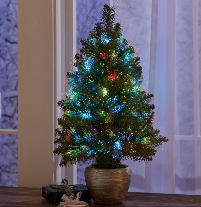 this is the indoor/outdoor Christmas tree