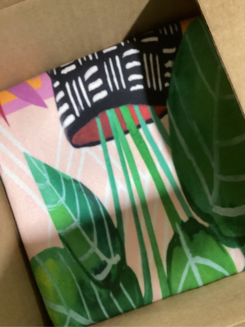 Condition photo showing Good Condition for Society6 Indoor Throw Pillows – Home Decor by Misha Blaise Design – Decorative Accent Pillows for Couch or Bed, 16" x 16", All Tomorrows Parties All Tomorrows Parties 16"x16"