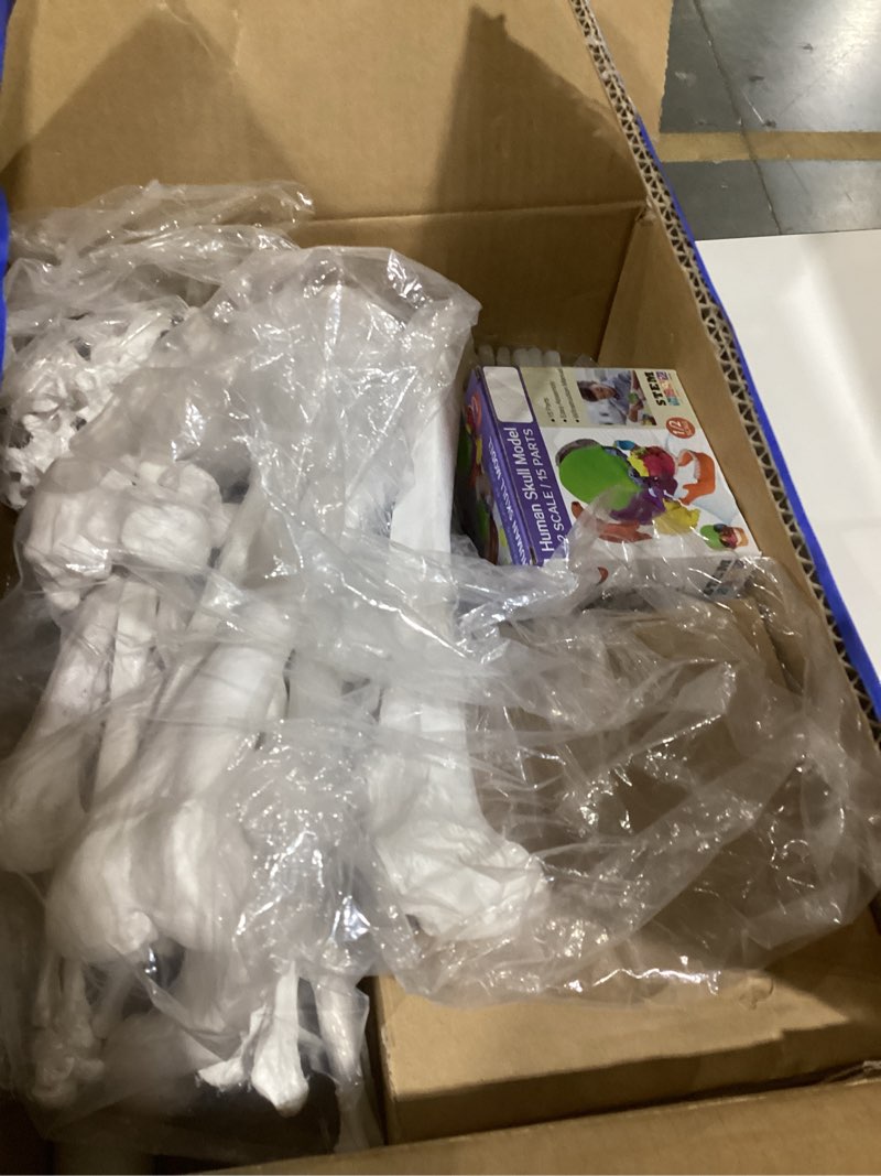 Condition photo showing Good Condition for Evotech Disarticulated Human Skeleton Model for Anatomy 67'' Full Size Skeleton Model W/Half Size15Pcs Exploded Skull, Skull, Spine, Bones, Articulated Hand Foot, for Anatomy Medical Learning