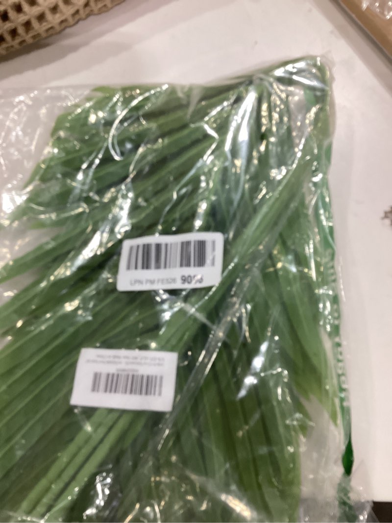 Condition photo showing New/Like New for Large Artificial Palm Leaves Palm Fronds Tropical Leaves Areca Palm Branches Palm Leaves with Stem Palm Tree Leaves Faux Palm Leaves for Floral Arrangement Fake Leaves Palm Sunday Decor-Large Leaf 6 Pcs