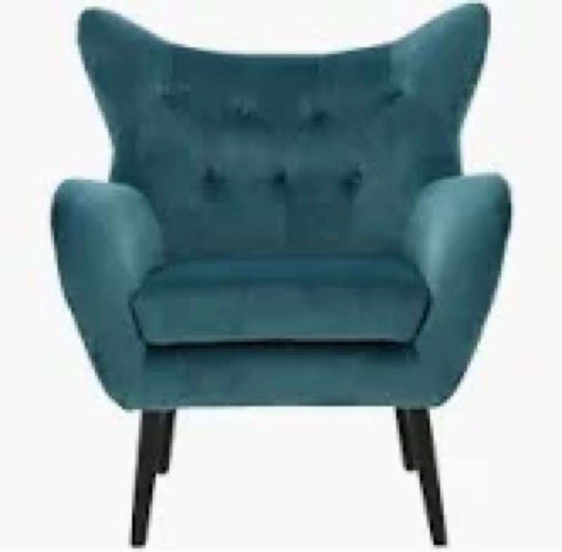 NFN4613.11812274A Danney 30\" Wide Tufted Velvet Wingback Chair