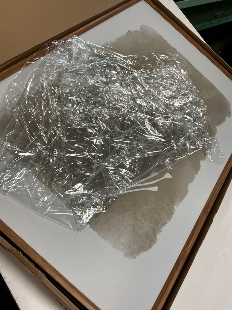 Condition photo showing Good Condition for CHDITB Botanical Farmhouse Wall Art Set, Framed Boho Plant Wall Decor, Neutral Minimalist Floral Wall Painting, Rustic Wildflower Canvas Art Prints for Living Room, Bedroom, Bathroom - Large 16"x24"x3 White Flower 16"L x 24"W