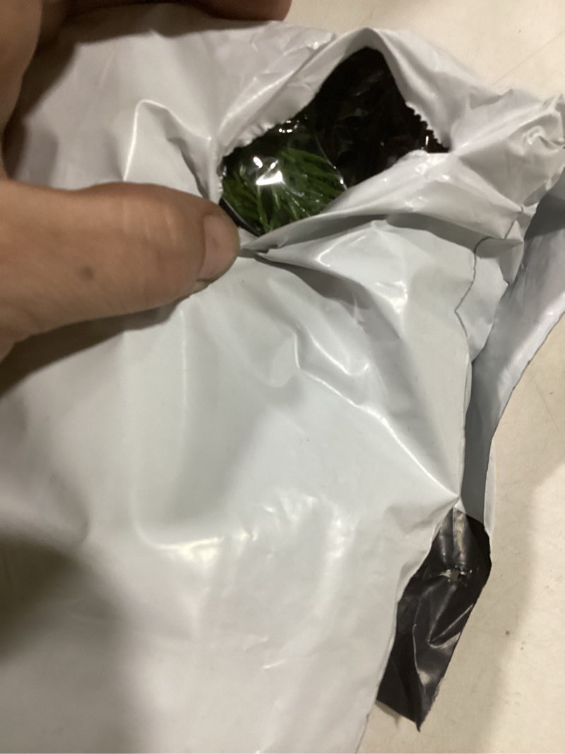 Condition photo showing New/Like New for 2 Pcs 6 Ft Artificial Norfolk Pine Garlands, Real Touch Winter Pine Garland, Green Artificial Greenery Garland for Table, Mantle, Wall, Indoor, Outdoor Christmas Decorations