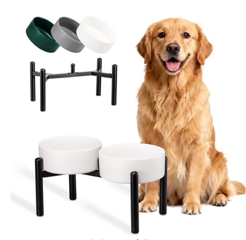 dog bowls elevated - ceramic raised dog bowl with non slip steel stainless stand - no spill and heat