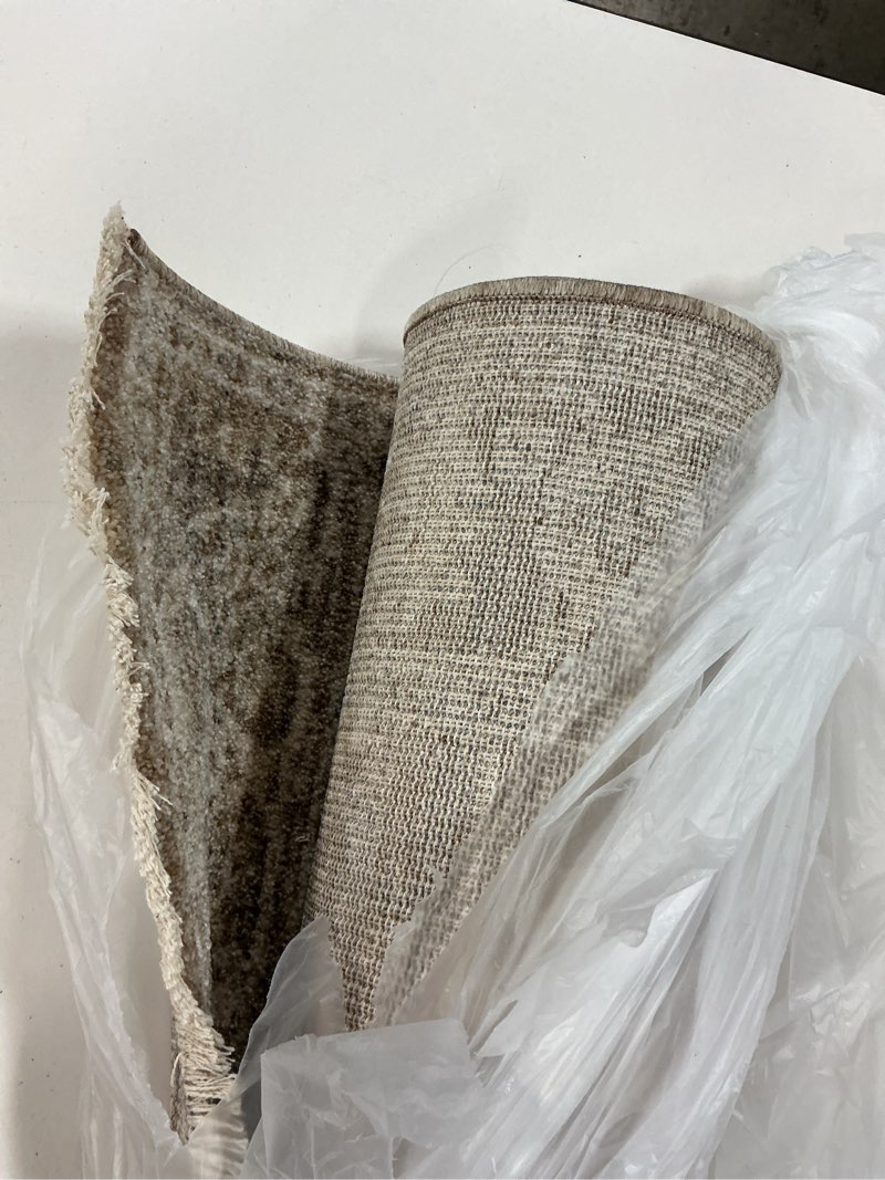 Condition photo showing Good Condition for Loloi Chris Loves Julia Louisa Collection LOI-03 Taupe/Ivory 2'-3" x 3'-10", .38" Pile Height, Accent Rug Taupe / Ivory 2'3" x 3'10" (Rectangular)