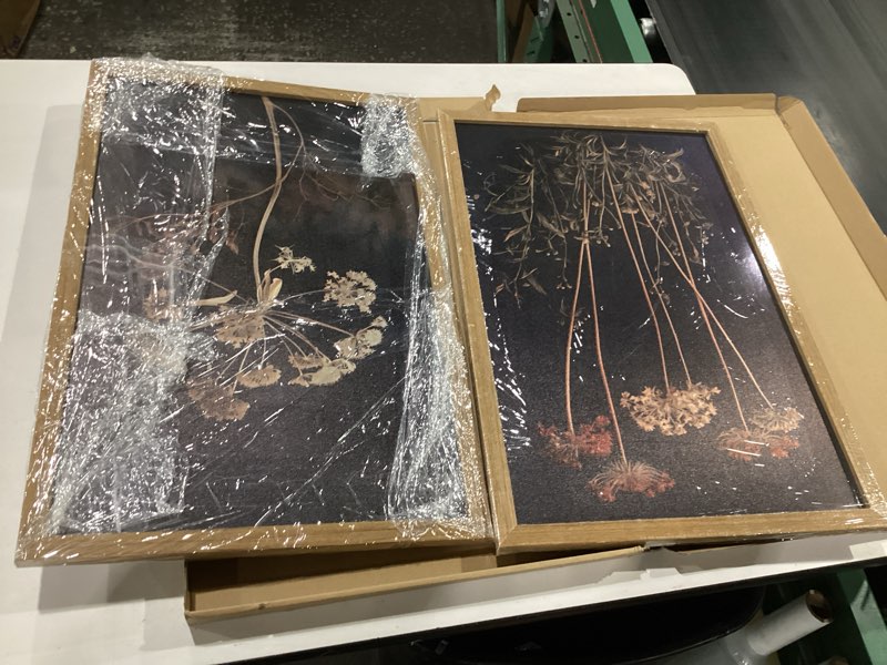Condition photo showing New/Like New for 2pcs framed vintage wall art prints, retro moody floral botanical canvas painting farmhouse decor, dark classical flower prints canvas for bathroom, bedroom, living room, gallery 16x24in retro moody floral botanical 16x24 inches