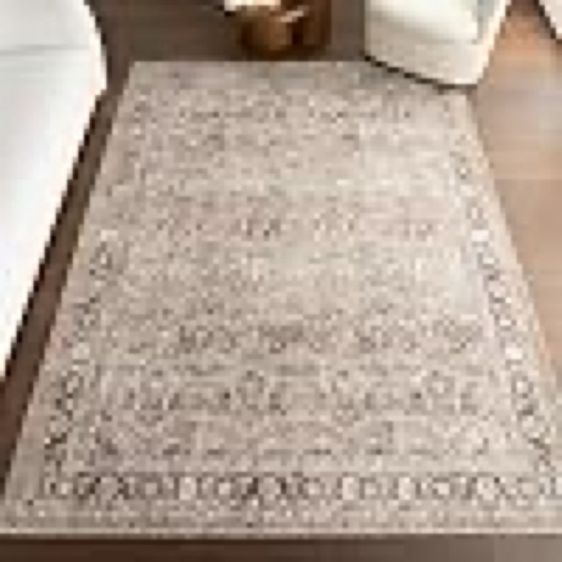 Loloi Amber Lewis Billie Collection, Ink & Salmon 6'-0\\\" x 9'-0\\\" Area Rug – Antique & Distressed Accent Rugs for Living Room, Bedroom, Entryway & Hallway, No Shed High Traffic Area Home Decor Rug