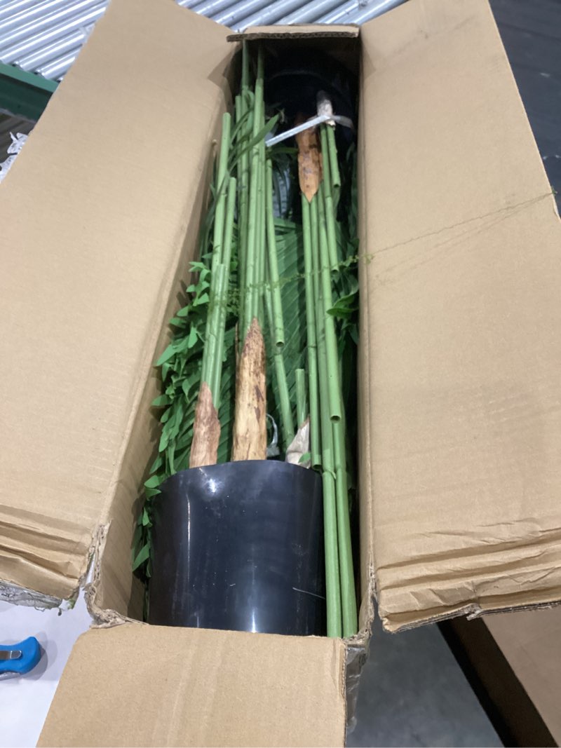 Condition photo showing As Is for 5ft Artificial Palm Tree Indoor Plant Tall Fake Tropical Paradise Palm Tree in Pot with Real Bark Design Faux Areca Palm Tree for Home Office Living Room Bedroom Farmhouse Modern Decor 2pcs 2 5ft