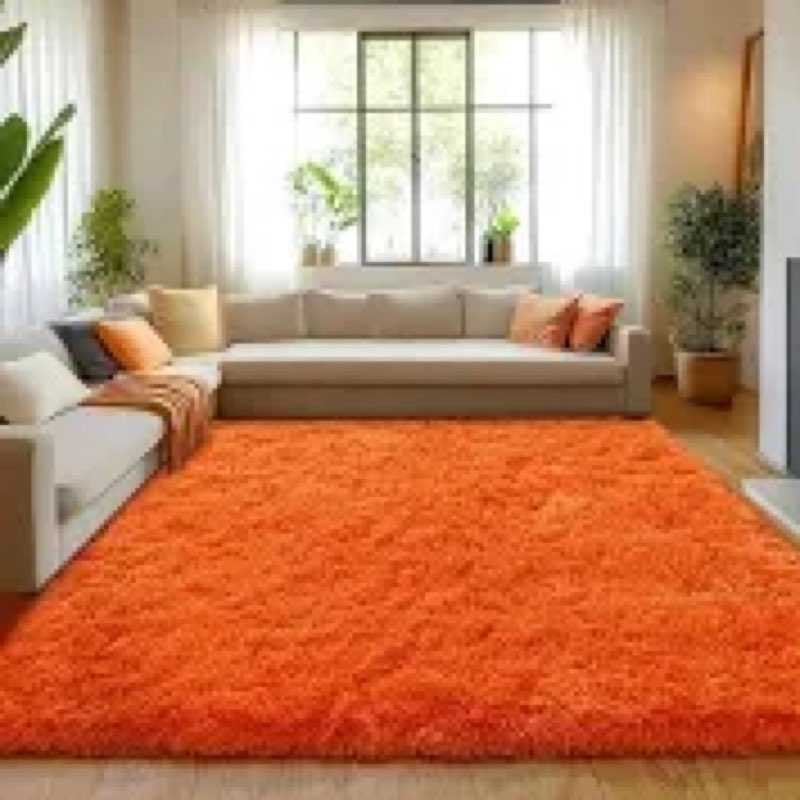 Cerulume 8x10 Orange Area Rugs for Living Room, Large Fluffy Shag Rug for Bedroom Nursery, Ultra Sof