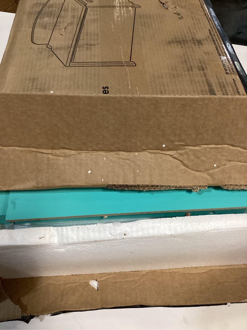 Condition photo showing New/Like New for Delta Children – Bluey Deluxe Toy Box