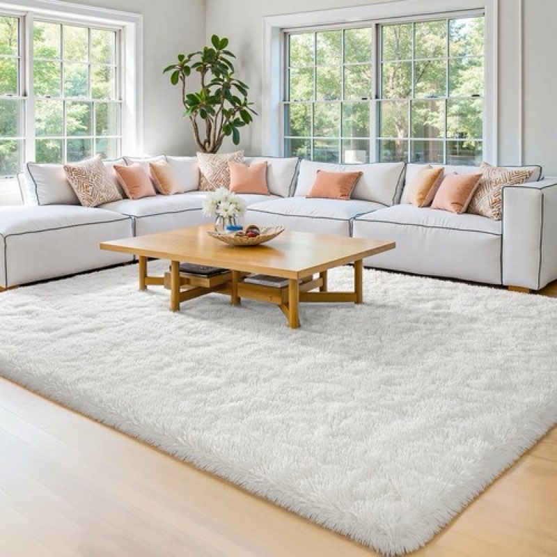 HOMORE Luxury Fluffy Area Rug Modern Shag Rugs for Bedroom Living Room, Super size 48X 70