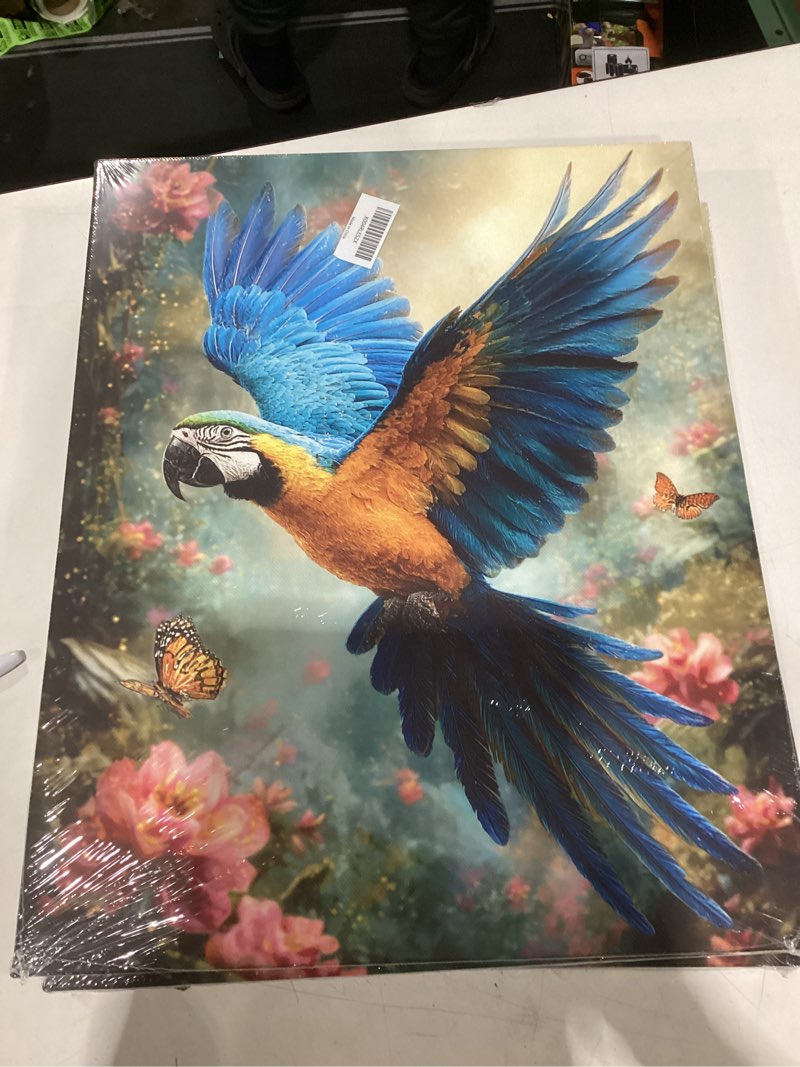 Condition photo showing New/Like New for parrot wall art bird pictures canvas wall decor rain forest bird painting prints framed artwork decorations for bathroom living room bedroom kitchen office 16”x20” parrot flower 20"l x 16"w