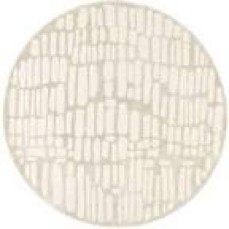 nuLOOM Belen Modern Abstract round  6' Area Rug in Cream