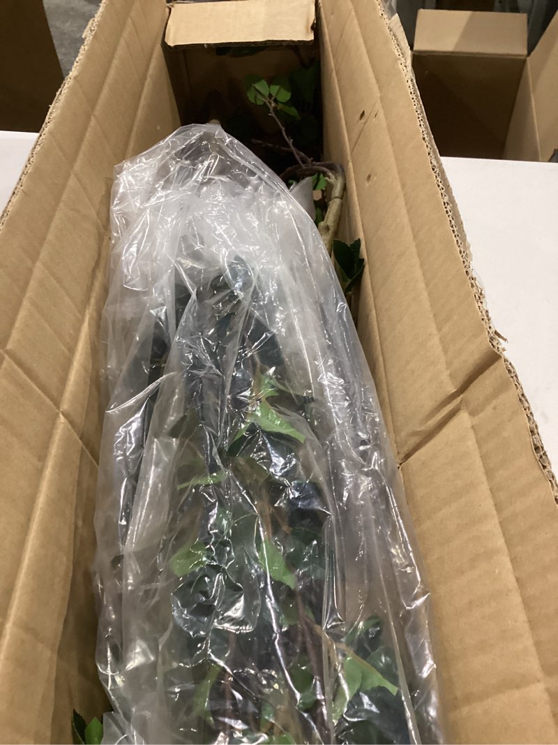 Bellacat 5ft Artificial Minimalist Citrus Tree with Lifelike Leaves, 60in Faux Citrus Tree with Real