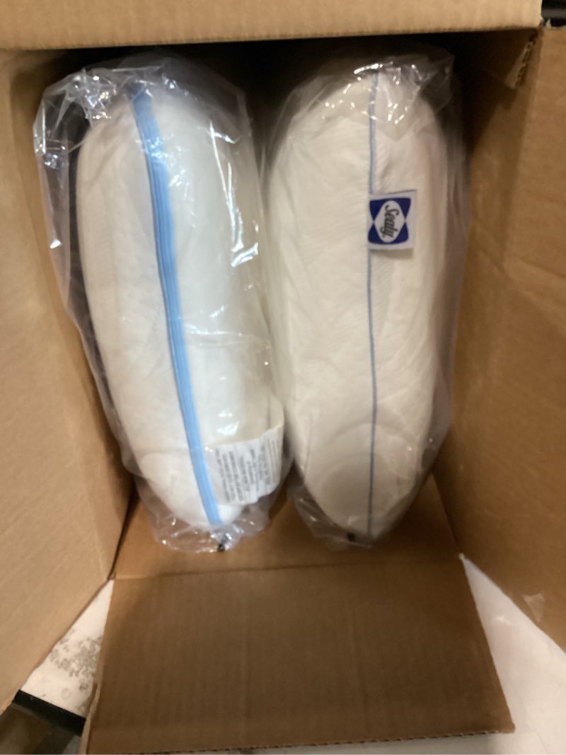 Condition photo showing Good Condition for sealy - sealy® dreamlife™ memory foam pillow, standard - dual pack - white