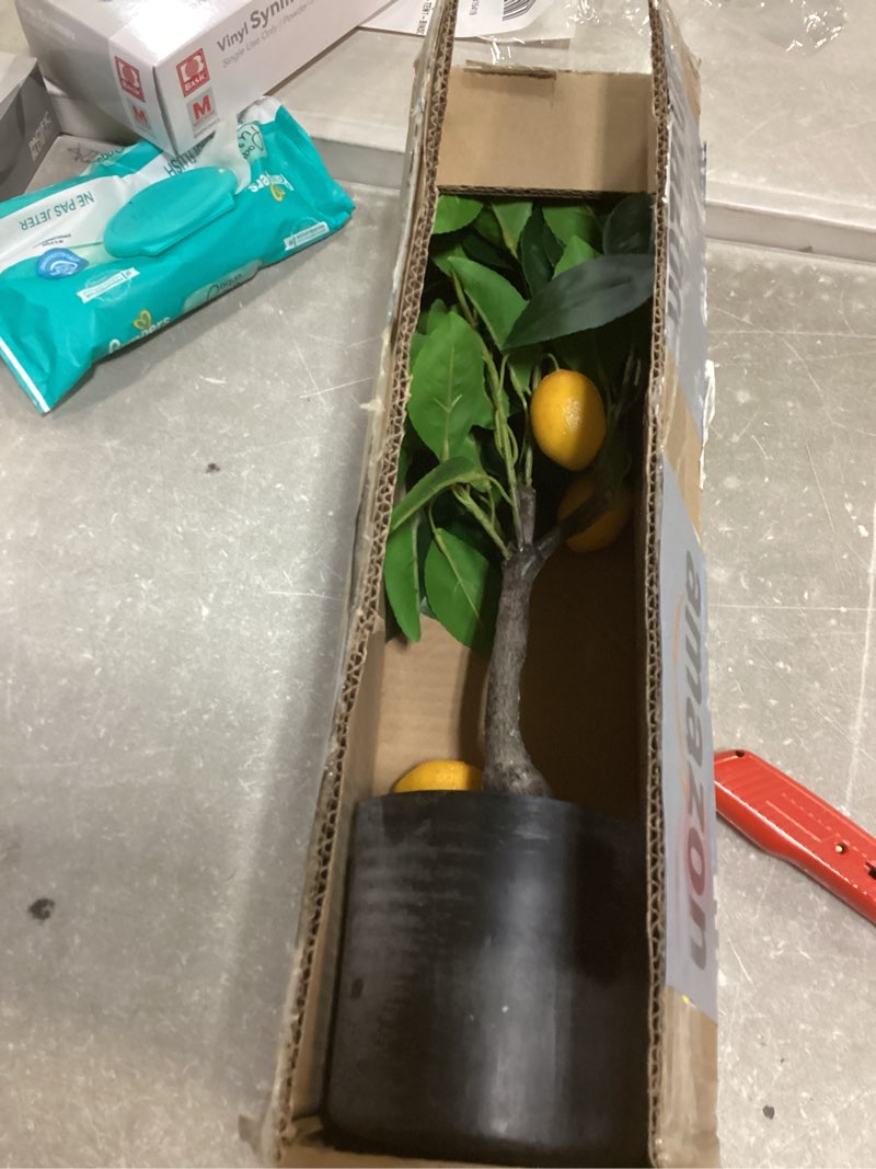 Condition photo showing As Is for Velener Fake Lemon Tree 19"- Bonsai Tree Indoor with Pot Farmhouse Home Decor Living Room Kitchen Shelf Office Desk Bathroom Table Mini Outdoor Tree Faux Plant Porch Lemon Decor Floor Plant Tall