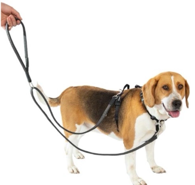 LufeLux No Pull Dog Harness with Two Points Control Leash Set, Neck Buckle, Aluminum D-Rings, 6 Poin