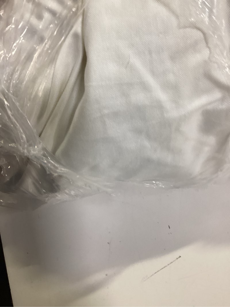 Condition photo showing Good Condition for premium feather pillow insert (set of 2), 12x20, no color 1 pcs