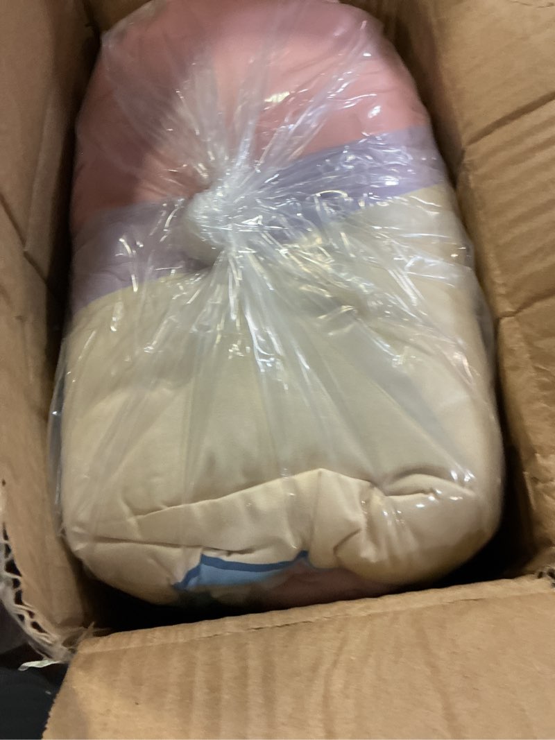 Condition photo showing Good Condition for Jay Franco Bluey Sister Sleepytime Queen Bed Set