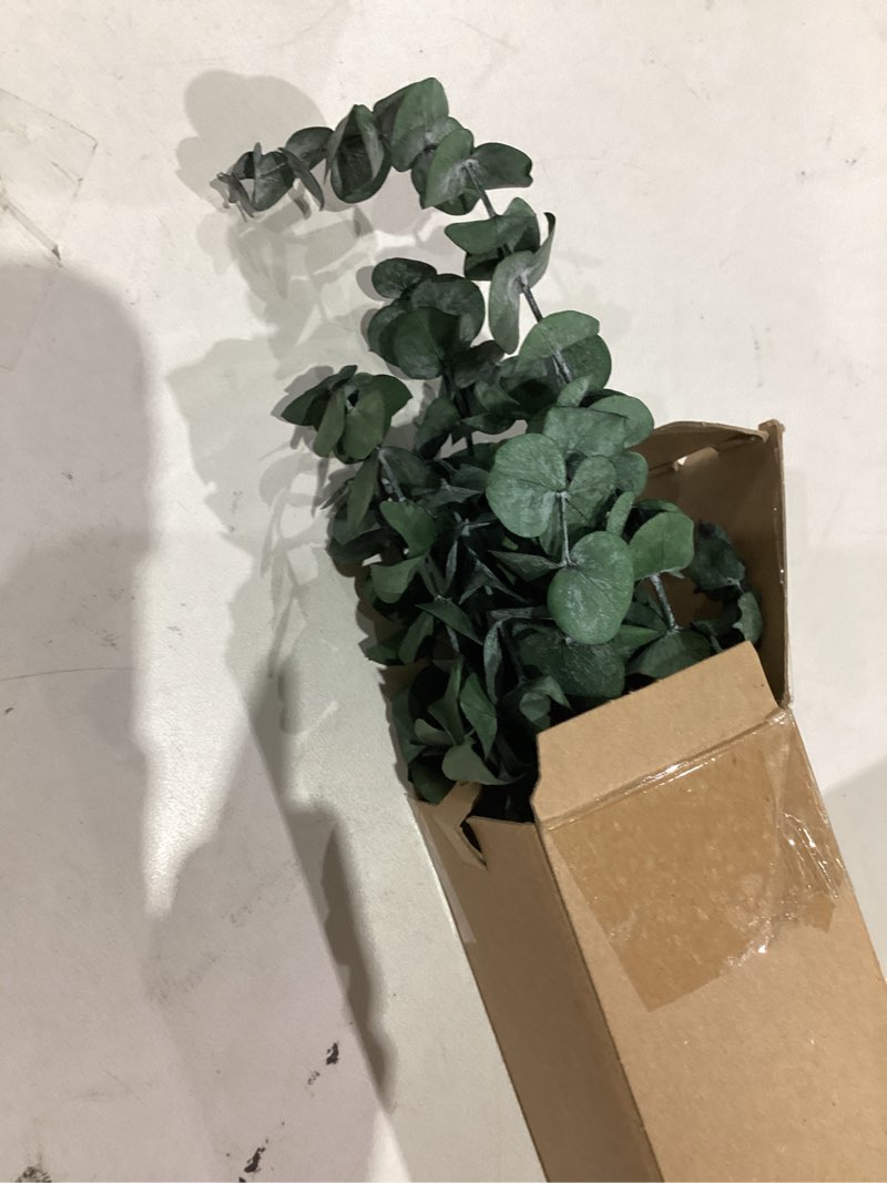 Condition photo showing As Is for 10 Pcs Dried Eucalyptus Stems 17" Real Eucalyptus for Shower Hanging 100% Made from Fresh Leaves, Wedding, Home, Farmhouse, DIY Spring Decor Bathroom Decor Home Decor 10 Pcs Eucalyptus