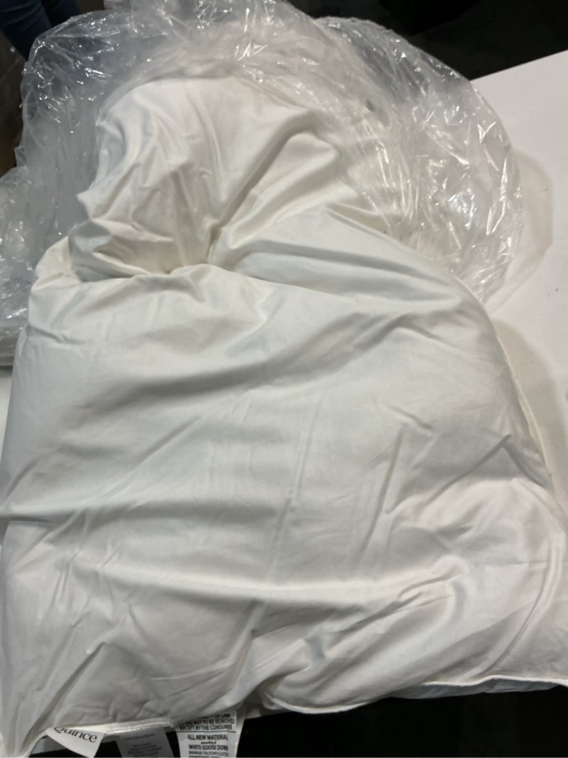 Condition photo showing As Is for quince luxe goose down pillow, king, soft/medium