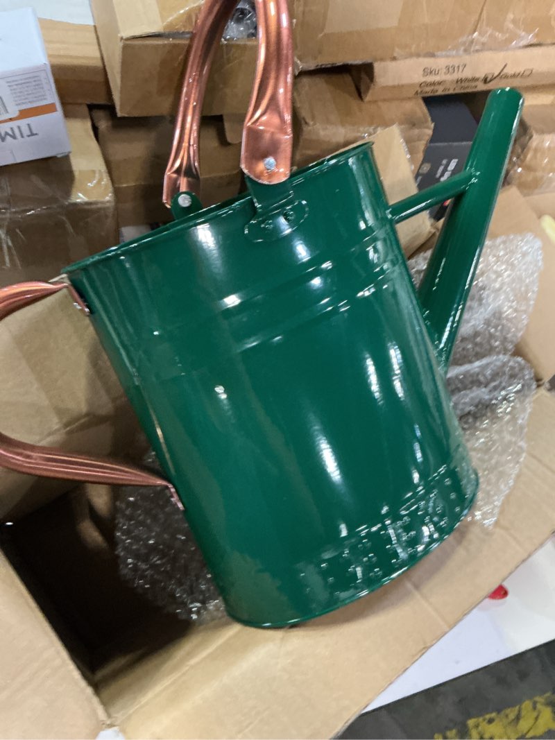 Condition photo showing New/Like New for 1 gallon metal watering can with removable spout, nice galvanized steel water can with embossed design for indoor and outdoor plants green
