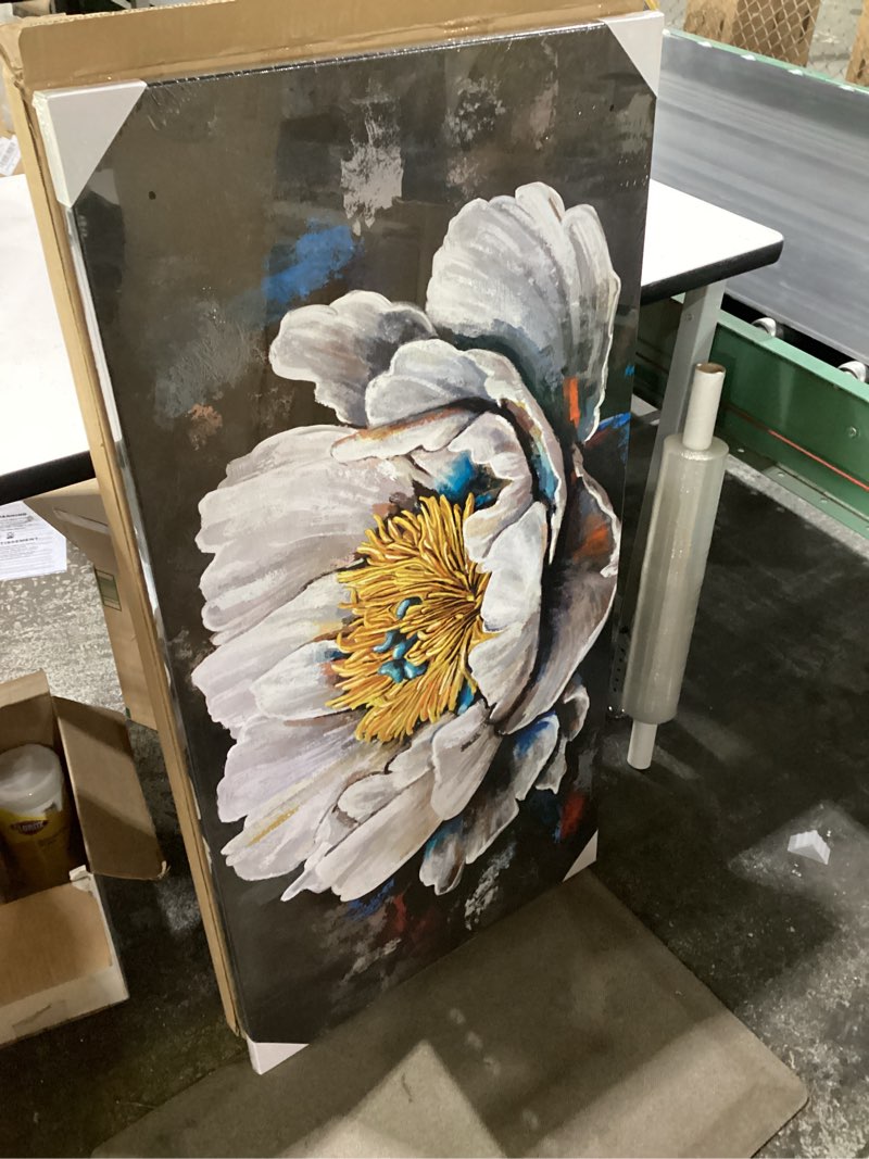 Condition photo showing New/Like New for aoartwz white peony flower canvas wall art farmhouse flowers wall decor rustic floral prints painting modern artwork for bedroom living room decor framed 24" x 48"