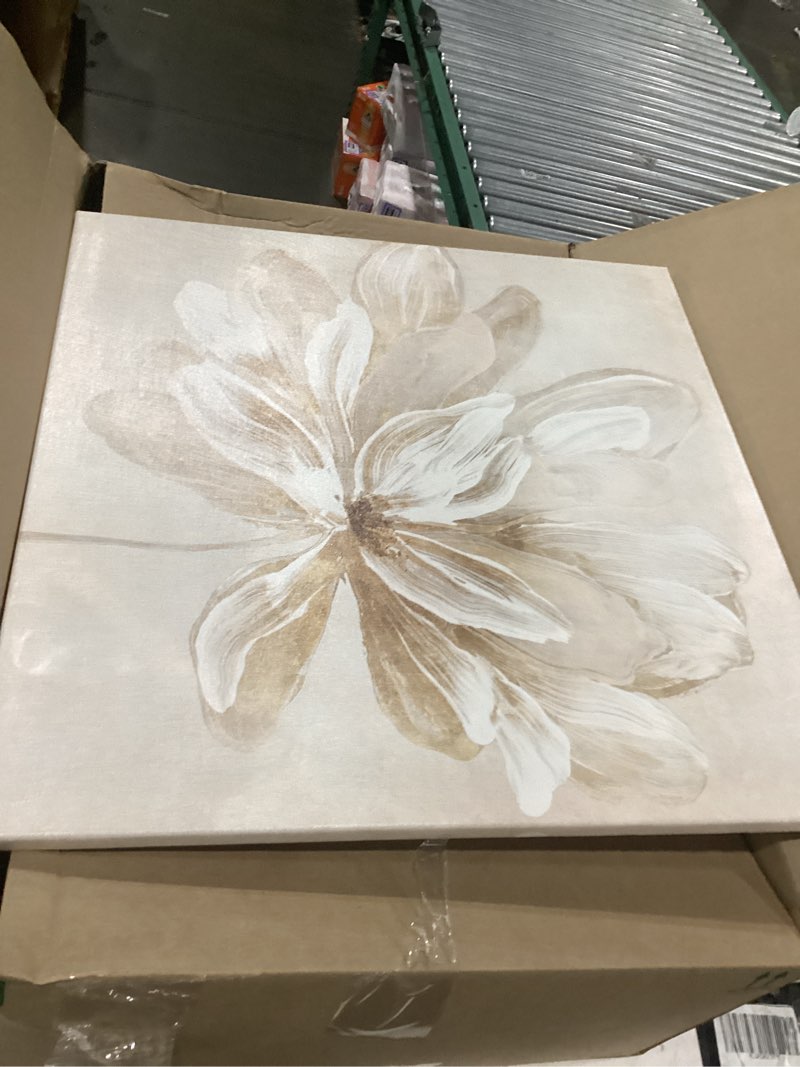 Condition photo showing New/Like New for seven wall arts white flower wall art beige and gold blooming flower abstract floral artwork print poster for living room bedroom bathroom home office wall decor 24"x24" blooming flower 24"l x 24"w