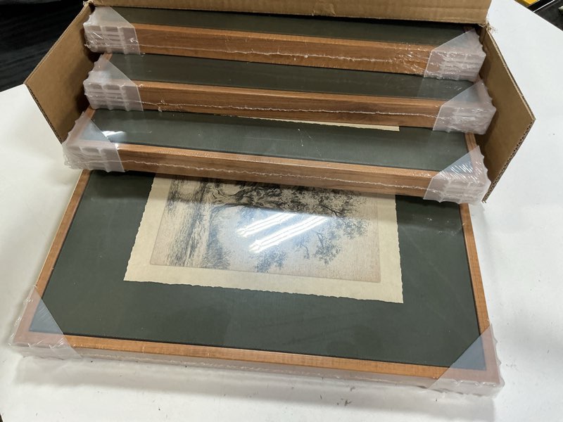 Condition photo showing Good Condition for insimsea 4 pcs framed wall art, vintage sketch tree canvas prints, bathroom kitchen sage green natur