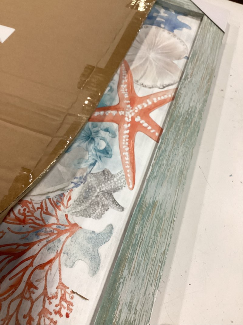 Condition photo showing Good Condition for sea turtle framed wall art: marine life picture ocean animal painting underwater coral prints sealife decor green beach coastal artwork for bedroom 16"l x 24"w green turtle