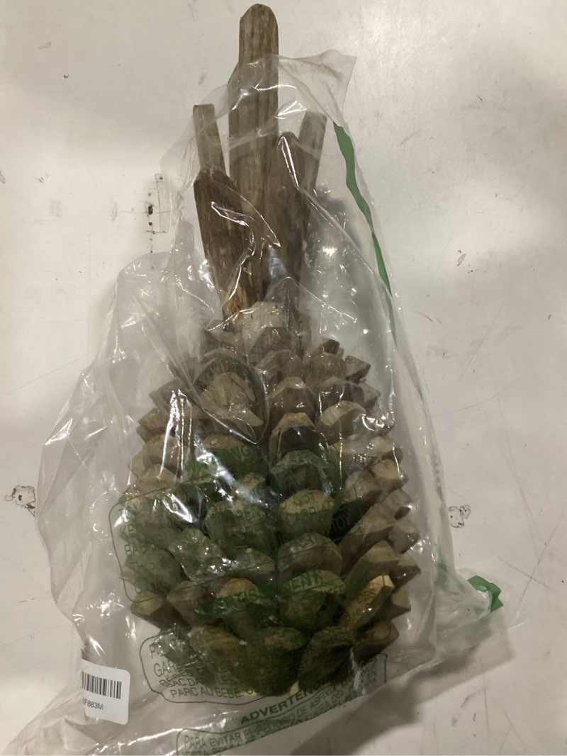 Condition photo showing Good Condition for Creative Co-op Pure Driftwood Pineapple Decoration
