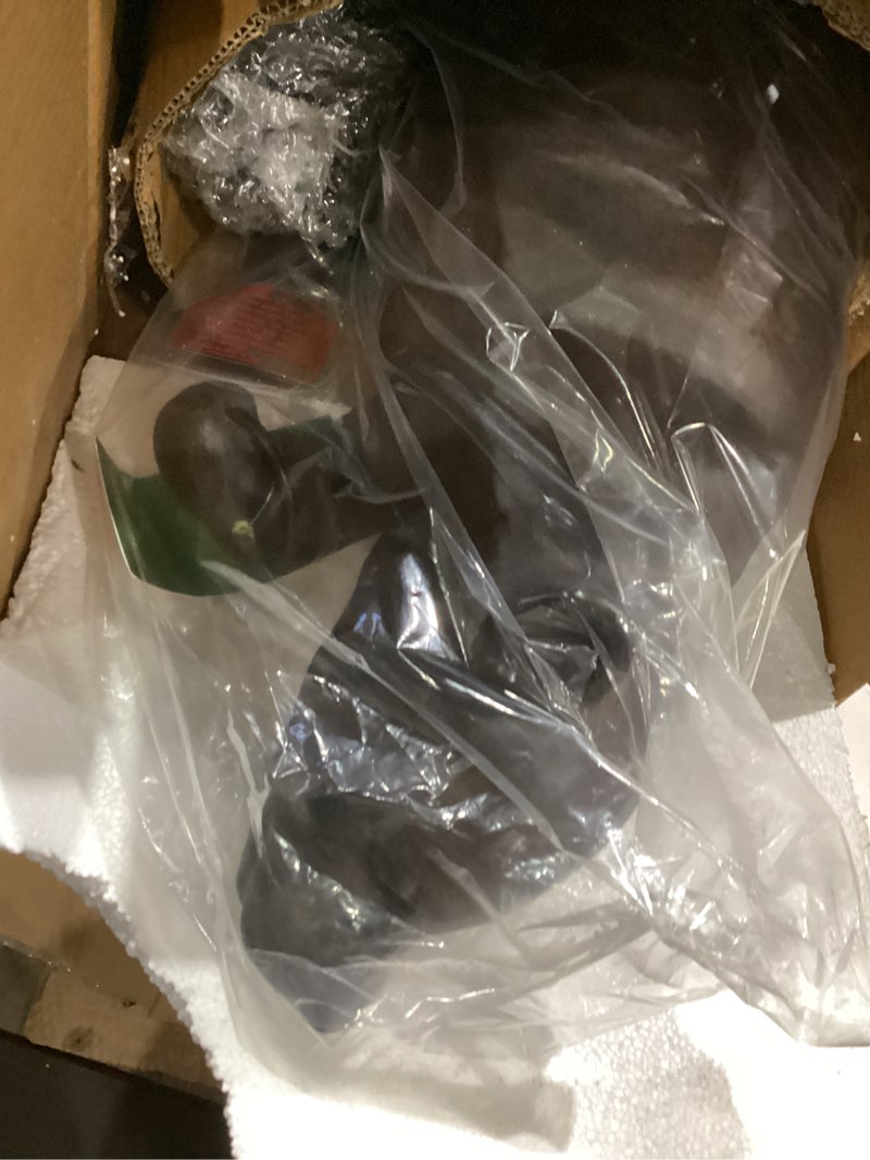 SPI Home 32435 Bear with Lantern Sculpture