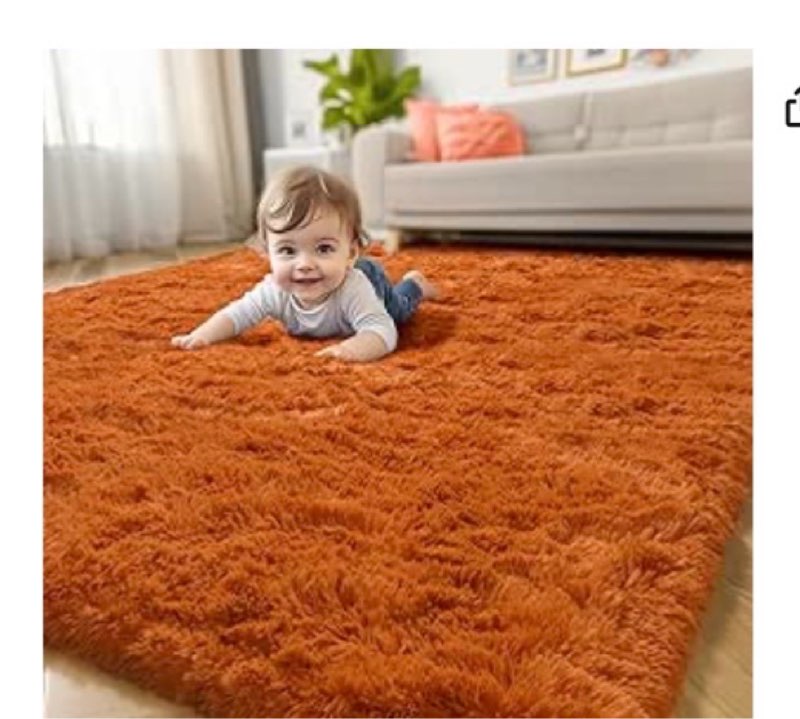 Amdrebio Burnt Orange Area Rugs for Bedroom Living Room, Fluffy Plush Furry Fuzzy Rug 5x8 for Kids R