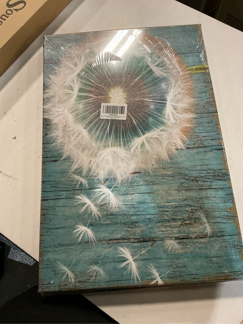 Condition photo showing New/Like New for canvas wall art for rustic home decor white dandelion green driftwood theme country wall decor for living room bedroom modern canvas prints artwork for kitchen wall decoration size 16x24 inches