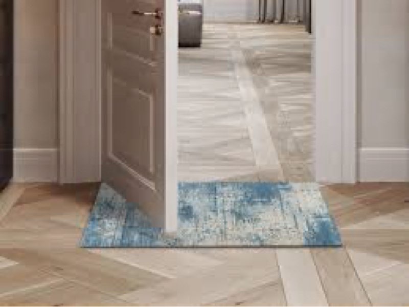 lygligh ultra thin door mat indoor entrance, 1/10 in thin door mats for inside entry, non-slip rubbe