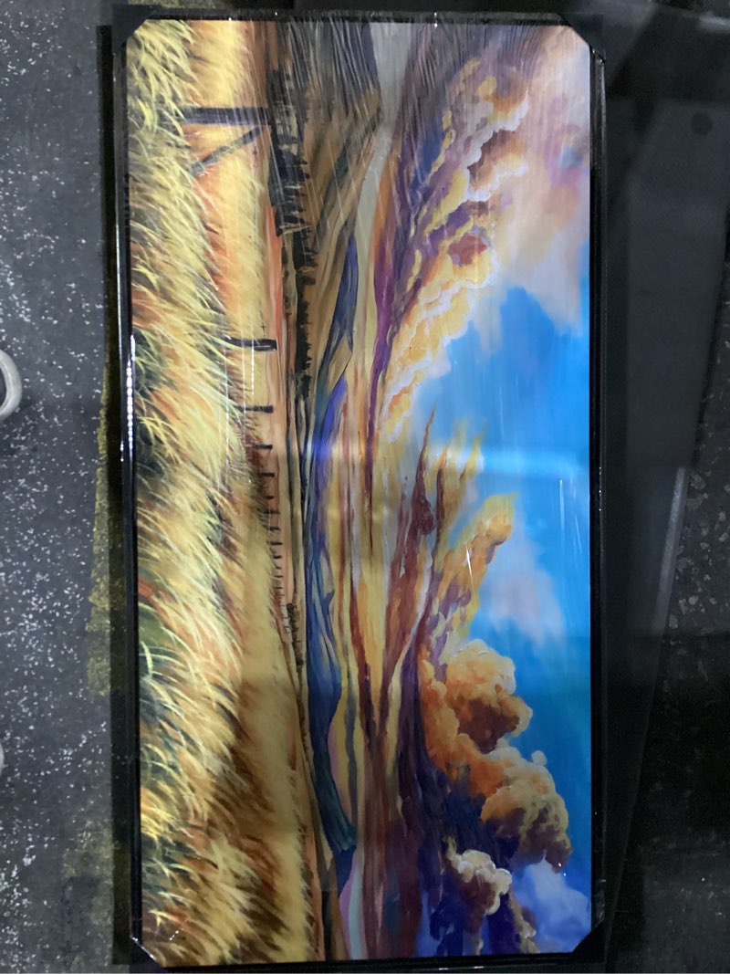 Condition photo showing New/Like New for Prairie mountain canvas wall hanging 