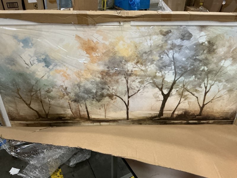 Condition photo showing New/Like New for abstract wall art artwork trees pictures decor canvas painting framed ready to hang living room bedroom decor and office wall decor 30x60 inch