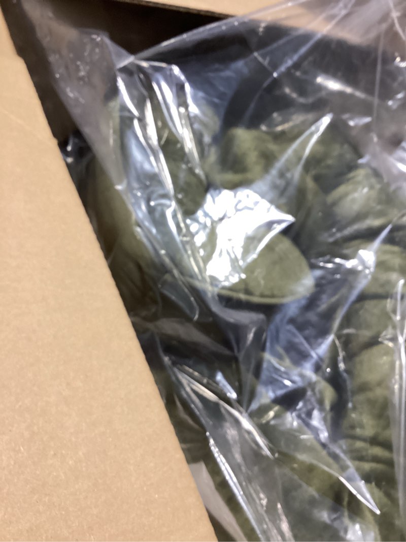 Condition photo showing Good Condition for bedsure orthopedic dog beds large sized dog - washable large dog cat bed waterproof, comfort dogs couch sofa with washable removable cover, pet bed with nonskid bottom, moss green, 35" 35"l x 25"w x 6.5"th moss green