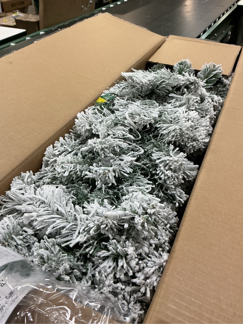 Condition photo showing Good Condition for National Tree Company 6 ft Pre-Lit Acacia Artificial Medium Profile Christmas Tree with Clear Lights