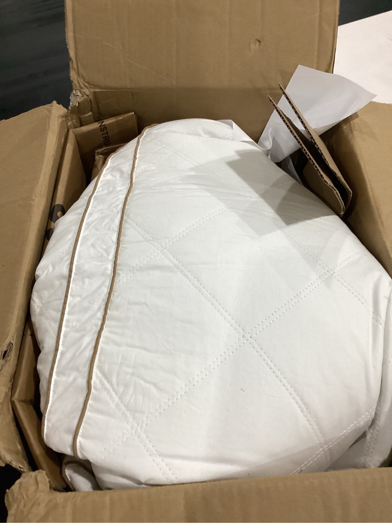 pillow 2 pack white 