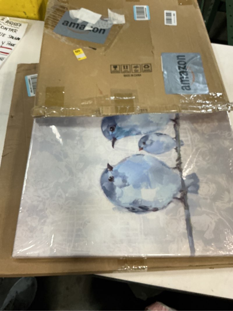 Condition photo showing Good Condition for Woxfcart Blue Bird Canvas Wall Art, Cute Lovebird Pictures for Gray Home Bathroom Bedroom Children's Room Decoration, 20 x 20 Inch BlueBird 20"L x 20"W