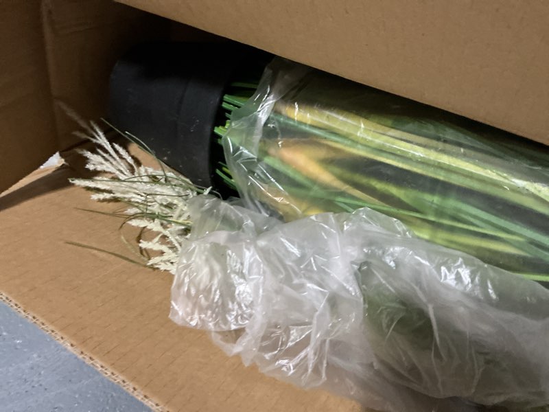 Condition photo showing Good Condition for kol 4ft 2-pack artificial cattail reed grass, 47.2’’ artificial indoor outdoor fake onion grass plant, home office wedding decorative potted plant, faux floor greenery, housewarming gift, white