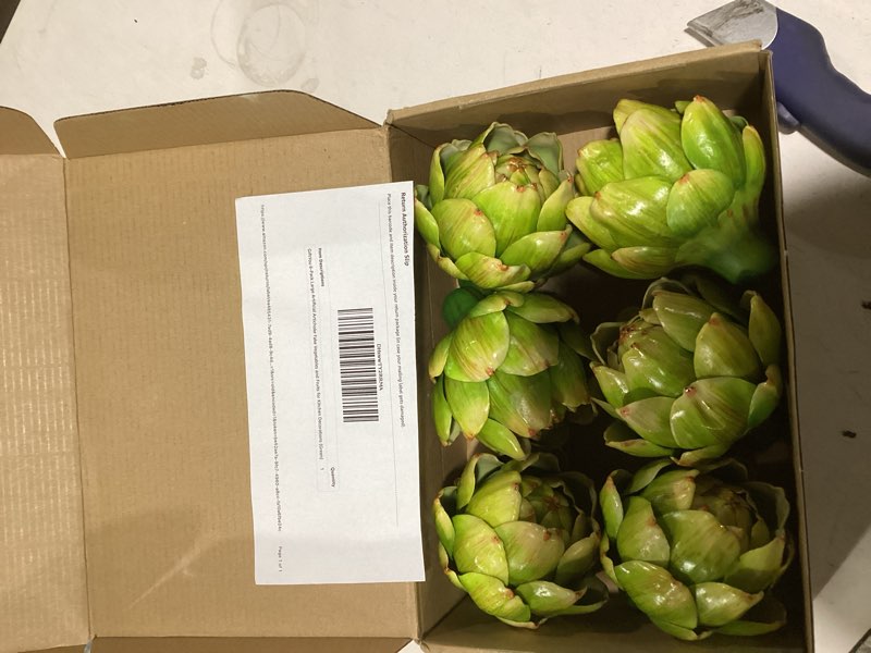 Condition photo showing Good Condition for giftyou 6-pack large artificial artichoke fake vegetables and fruits for kitchen decorations (green)