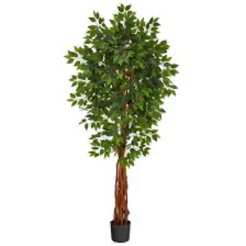 Nearly Natural 5209 Ficus Silk Tree, 6-Feet, Green (Renewed)