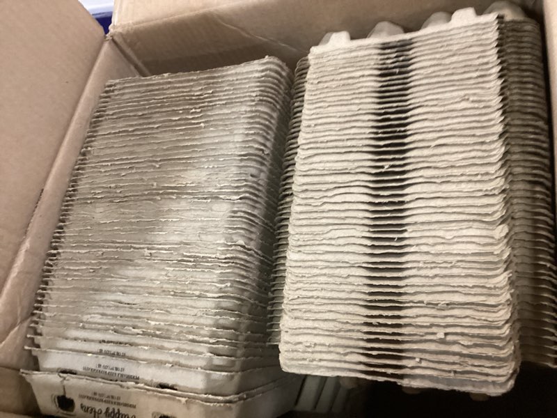 https://lotting-media.assets.bidfta.com/lotting_47865e34-dd87-4e6e-a73c-0c518cbd0733