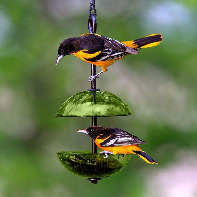 Mosaic Birds Hanging Double Poppy Bird Feeder, Lime