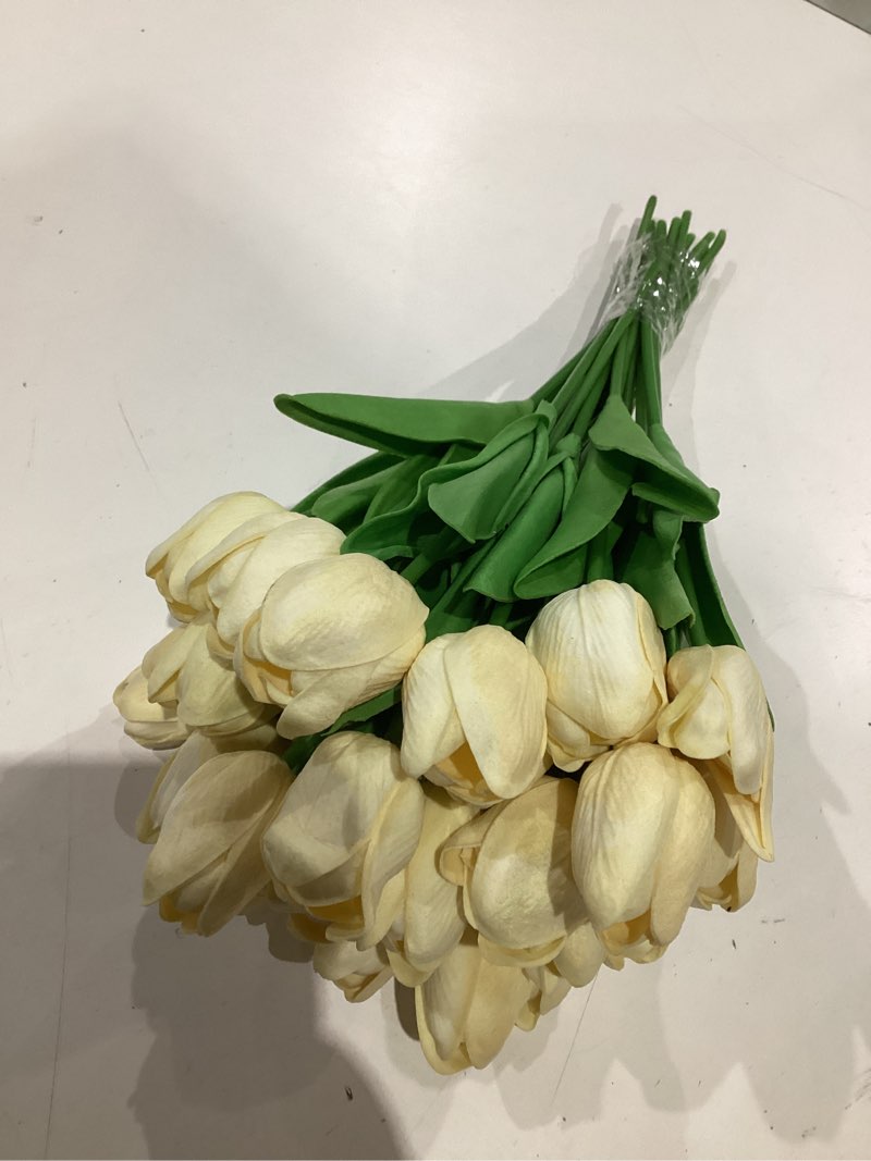 Condition photo showing Good Condition for tulipanes color crema