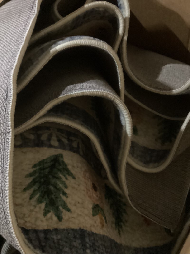 Condition photo showing As Is for loloi rifle paper co. eden collection ede-02 mughal garden cream 7'-6" x 9'-6" area rug feat. cloudpile™ mughal garden cream 7'6" x 9'6" (rectangular)
